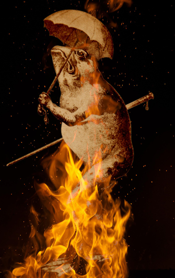 ein Frosch der aufrecht durchs Feuer geht - Bild von Cuno Sauerteig 2022