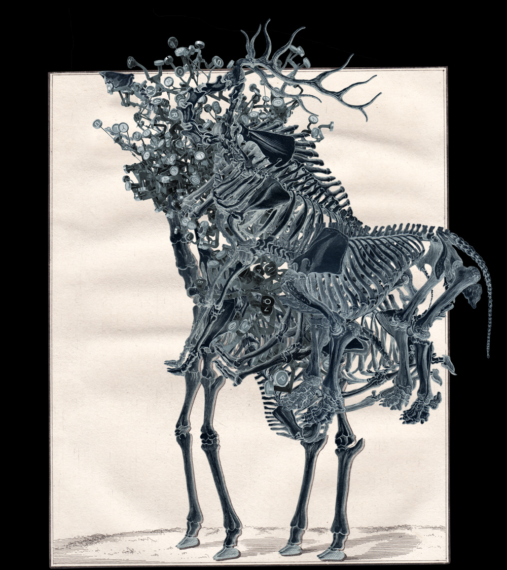 die Begriffsgiraffe von Cuno Sauerteig 2024